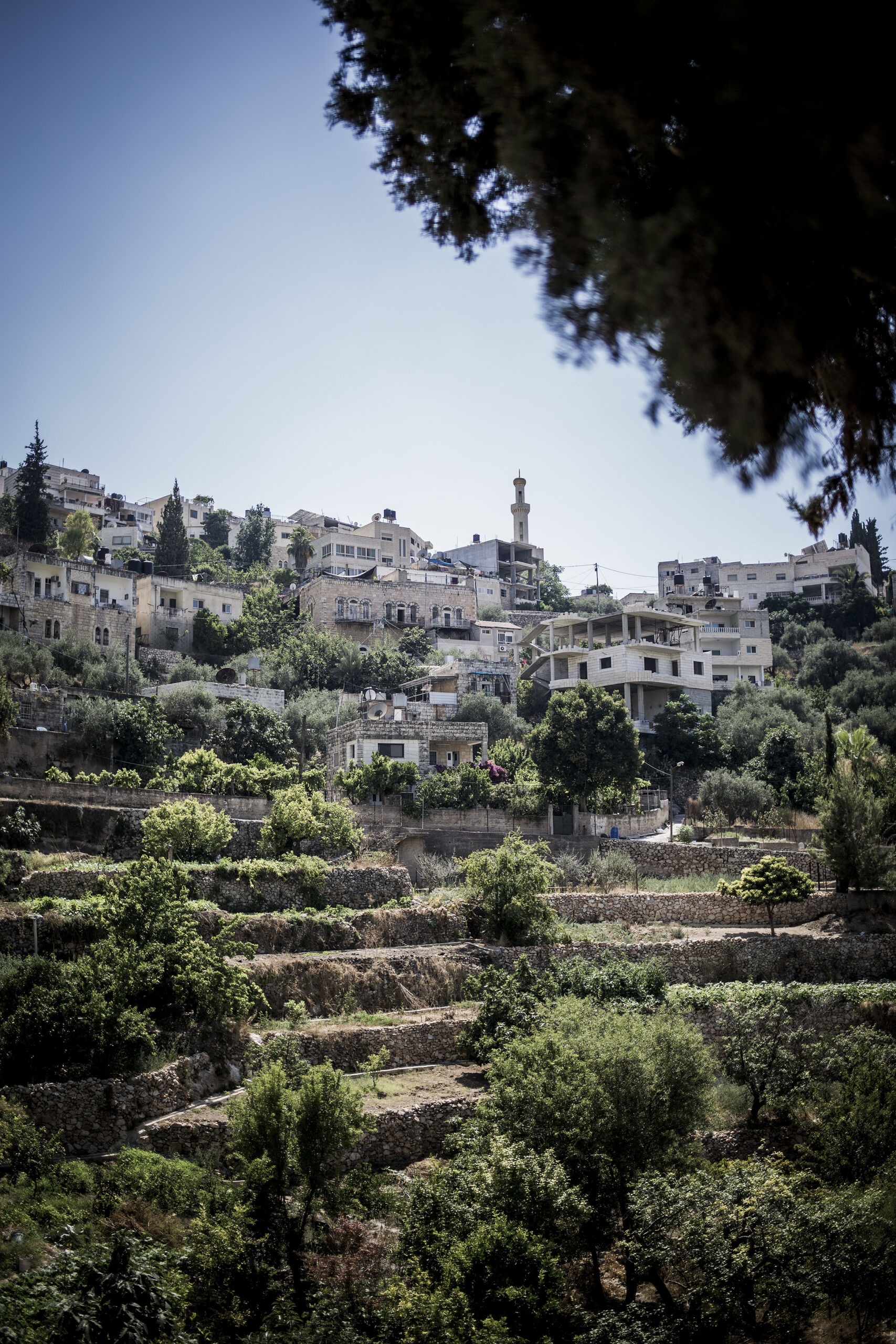 Palestine_The_Village_of_Battir